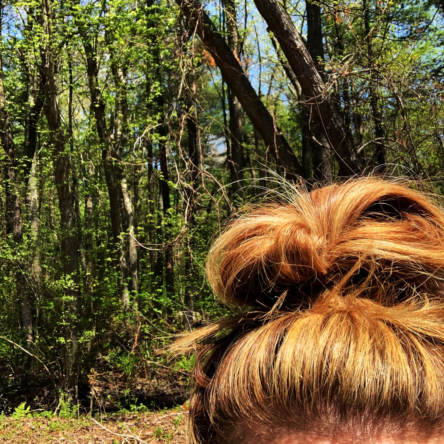 Active Hair Band in Red / Auburn